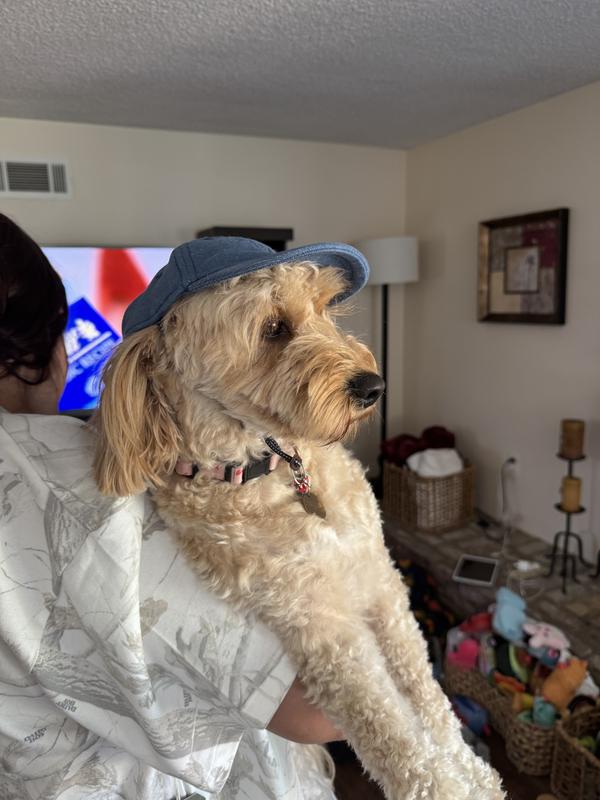 Model is a 25 pound mini golden doodle wearin a size s/med
