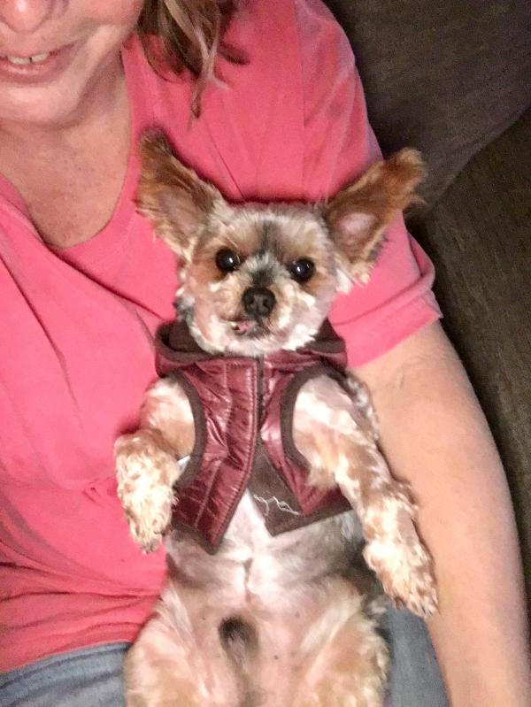 My little Prince