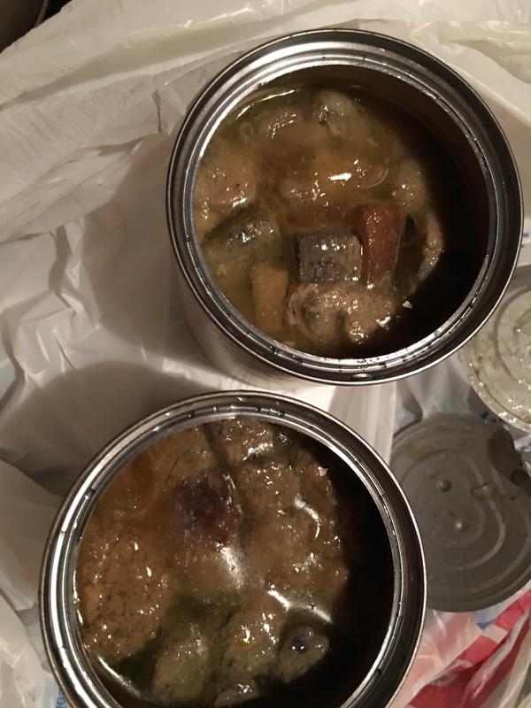 Nasty rotten food