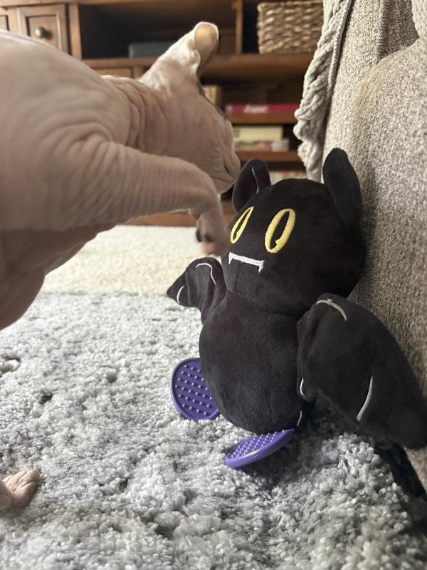 I'm not afraid of you!