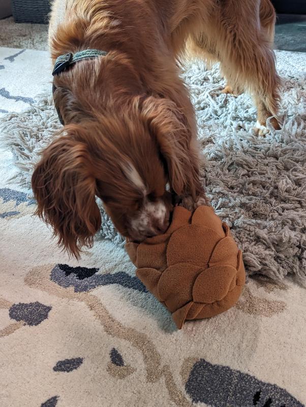 Greatest toy ever.  No sharing this one...