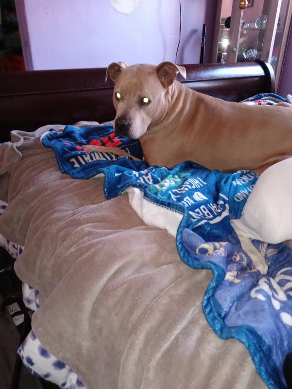 Nala