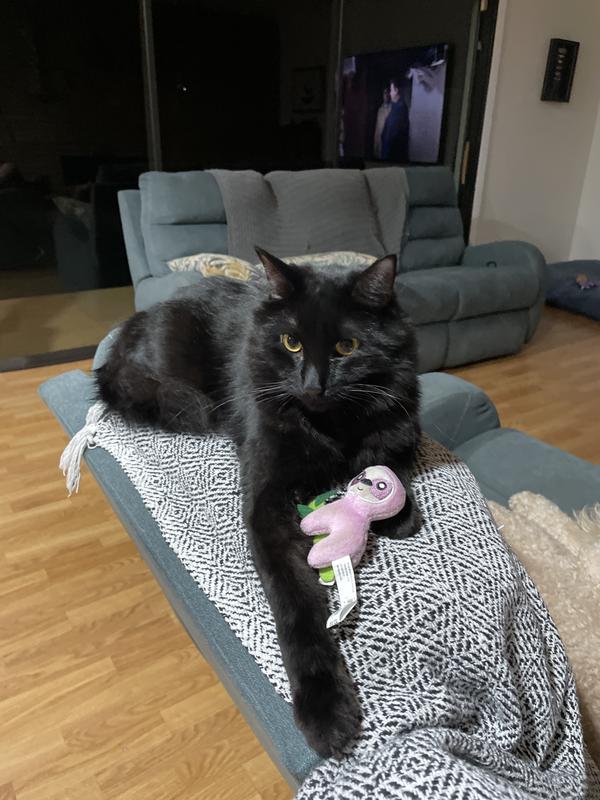 He carries it everywhere!