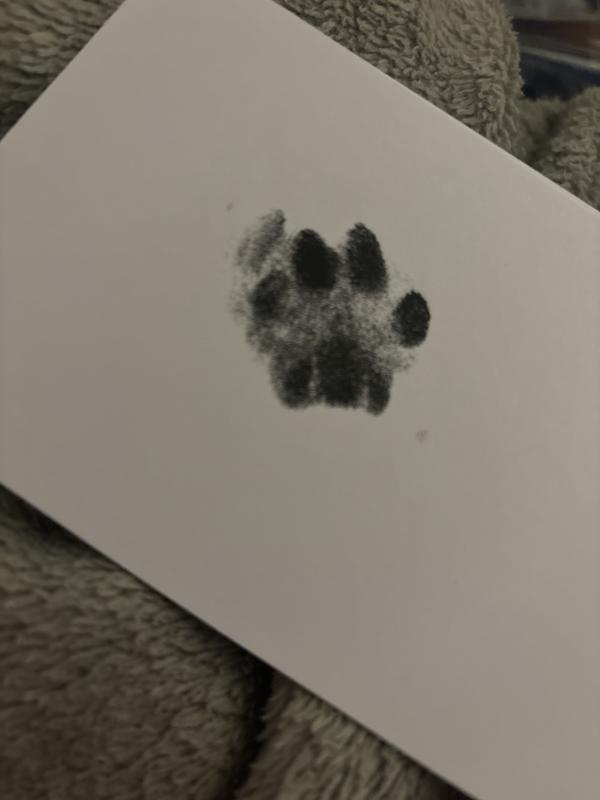 Pearhead Pet Pawprints Clean-Touch Ink Pad for Dogs and Cats