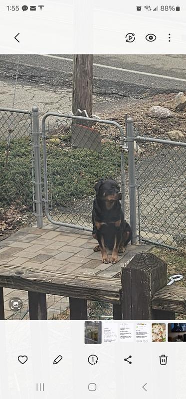 Keep off dog and cat clearance repellent