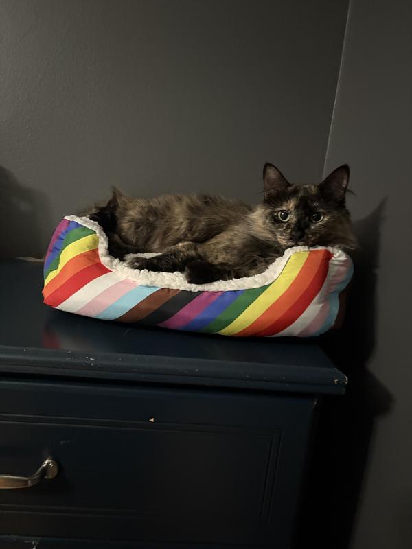 Cat approved.
