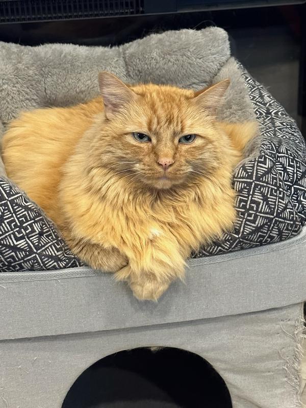 Handsome boy