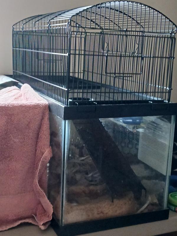 EveryYay 20 Gallon Hamster & Gerbil Tank Topper