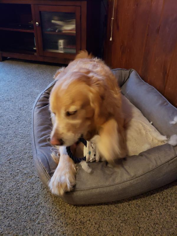 This toy is rewarding