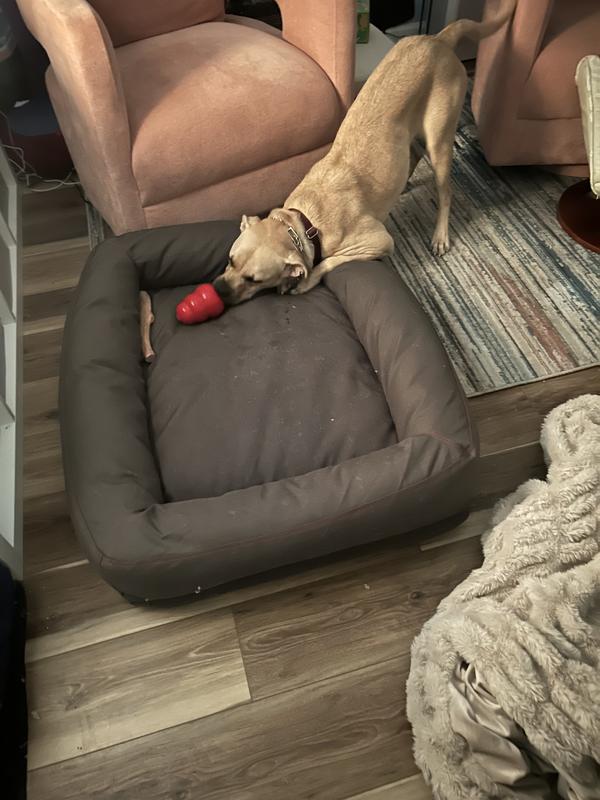 Photo - commentaire 1.