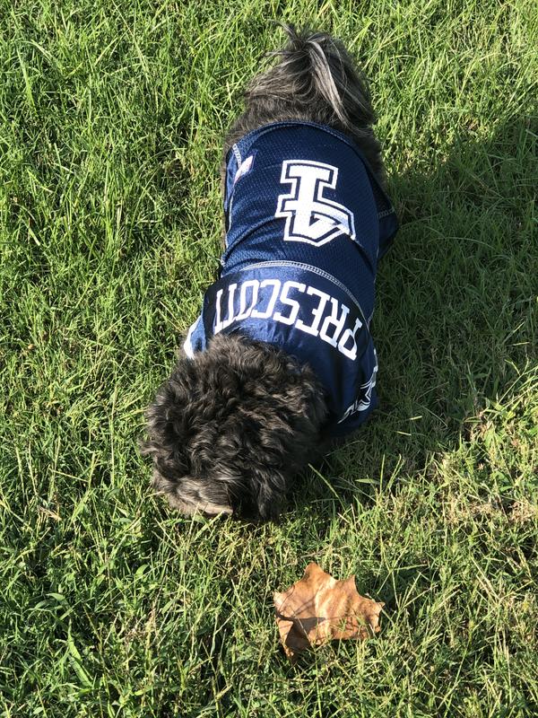 Pets First Dak Prescott Dog Jersey