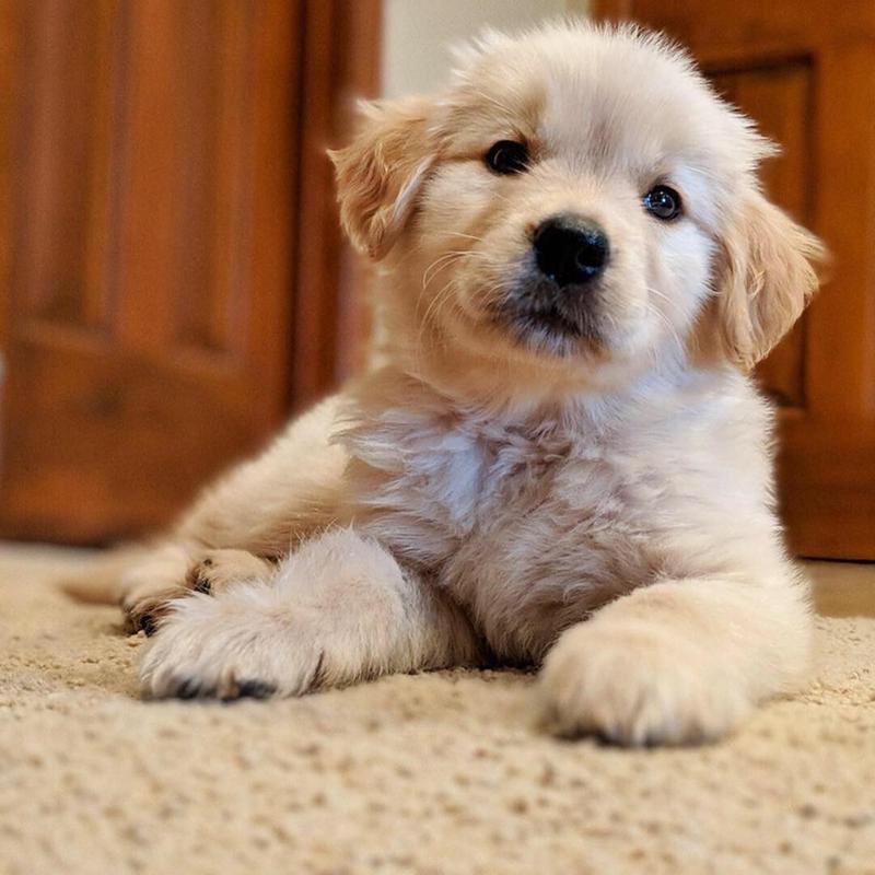 Waiting patiently mom !!