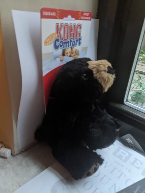 Kong comfort bear best sale