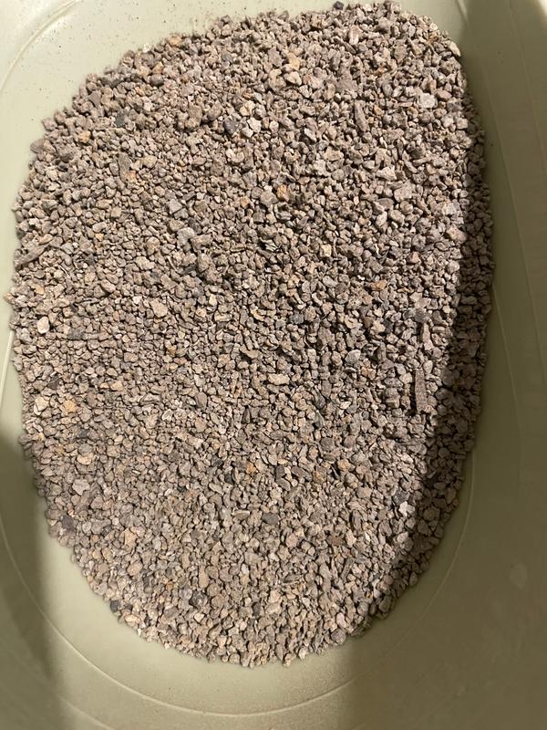 So Phresh Advanced Odor Control Scoopable Cat Litter, 40 lbs. Petco