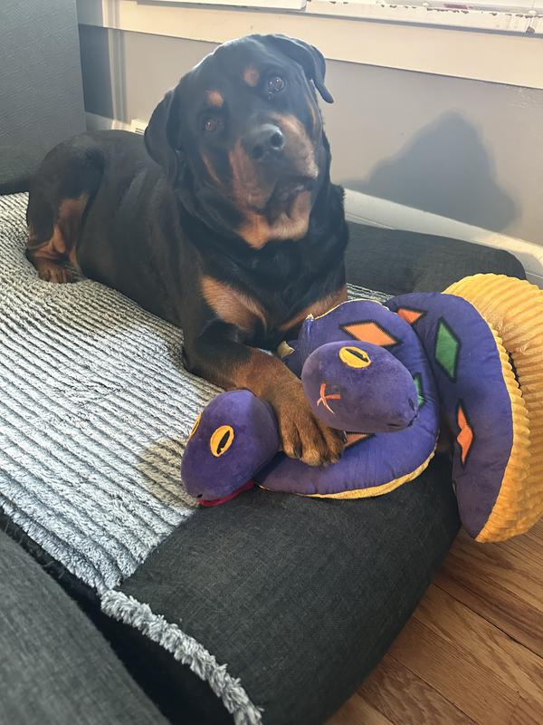 This is my toy!