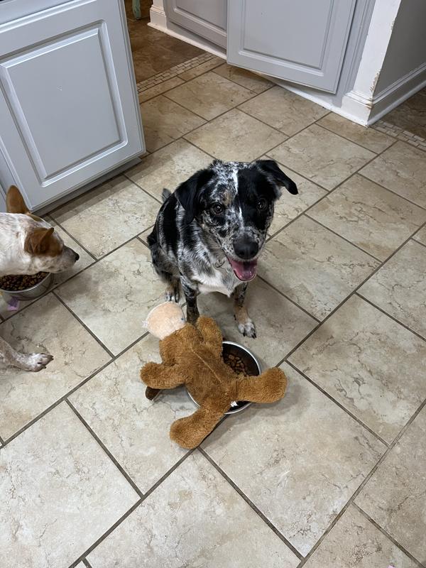 Happy boy