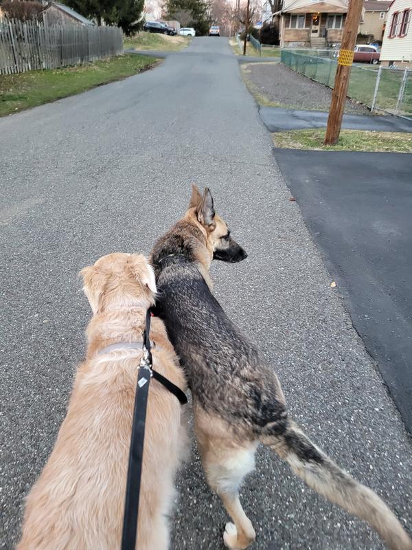 Photo - commentaire&nbsp;2.