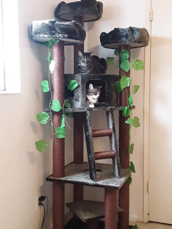 Photo - commentaire 8.