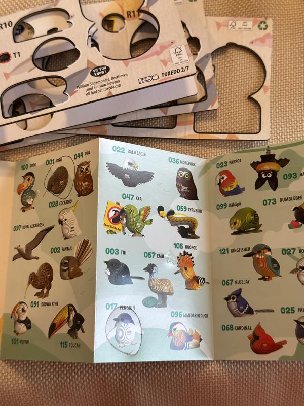 Eugy -Bring Home the Wild has more fun kits available!