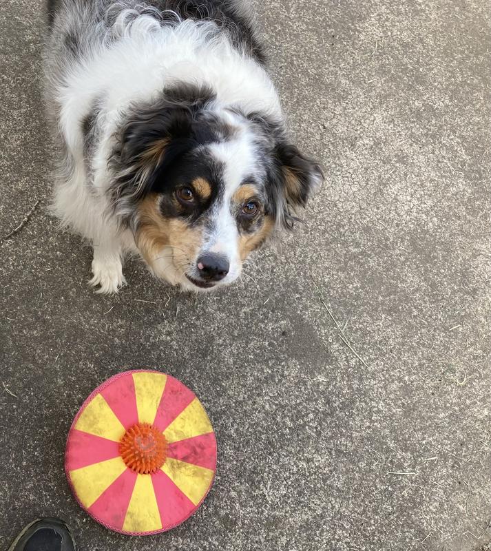 Please throw it again