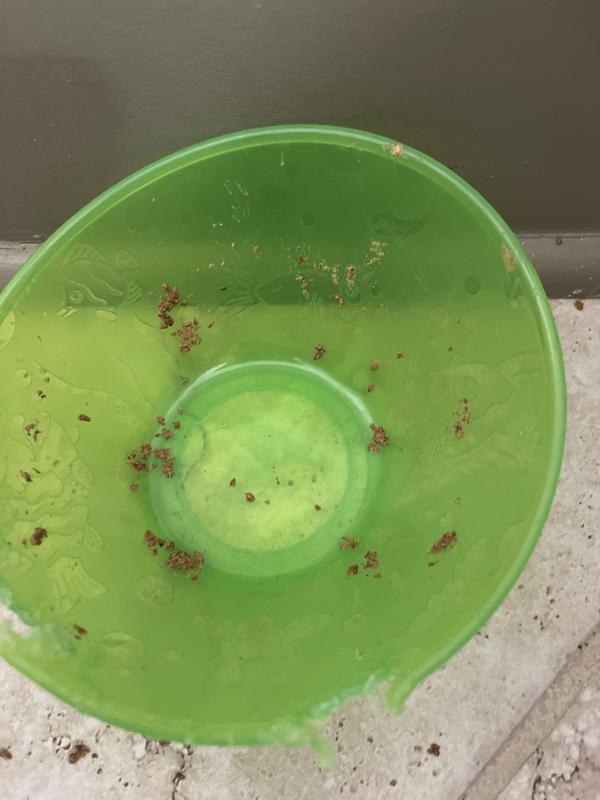 My cat ate it so fast!