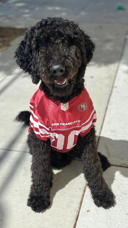 San Francisco 49ers NFL Dog Jersey - Small