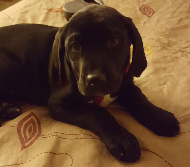 Winter Starr - first night with us.