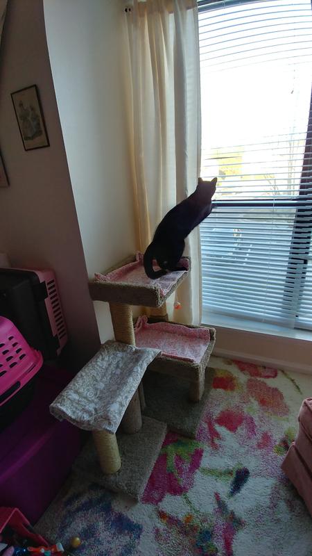 Binkie
