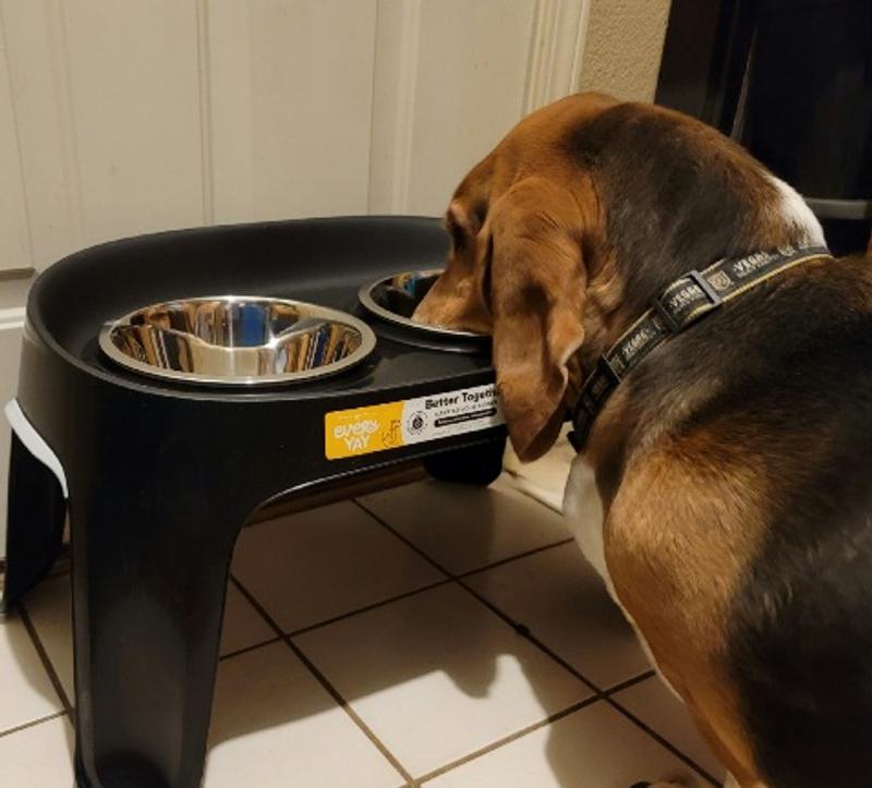Elevated Dog Feeding Table for Large Size Dog / Raised Feeder for Big Dog / Large  Dog Bowls / Feeding Station With 2 Bowls / Black Frame 