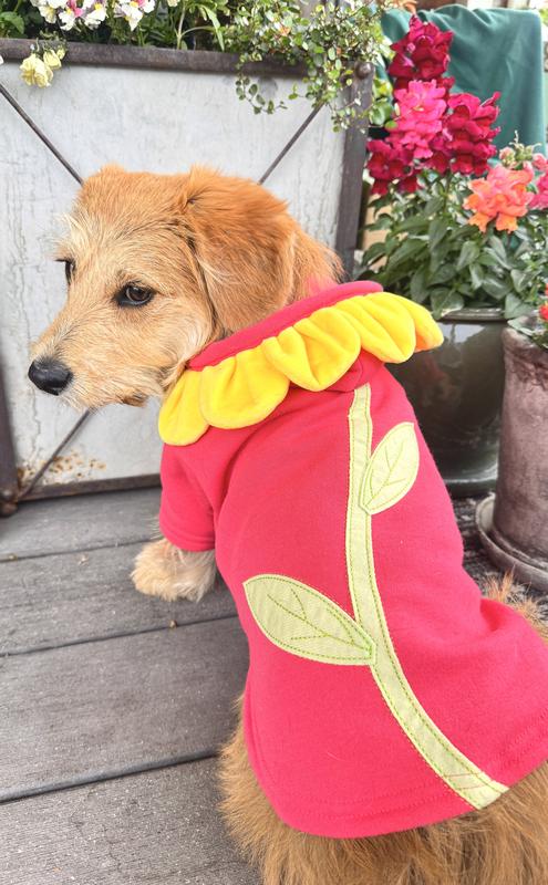 YOULY Flower Character Pet Hoodie, XX-Small | Petco