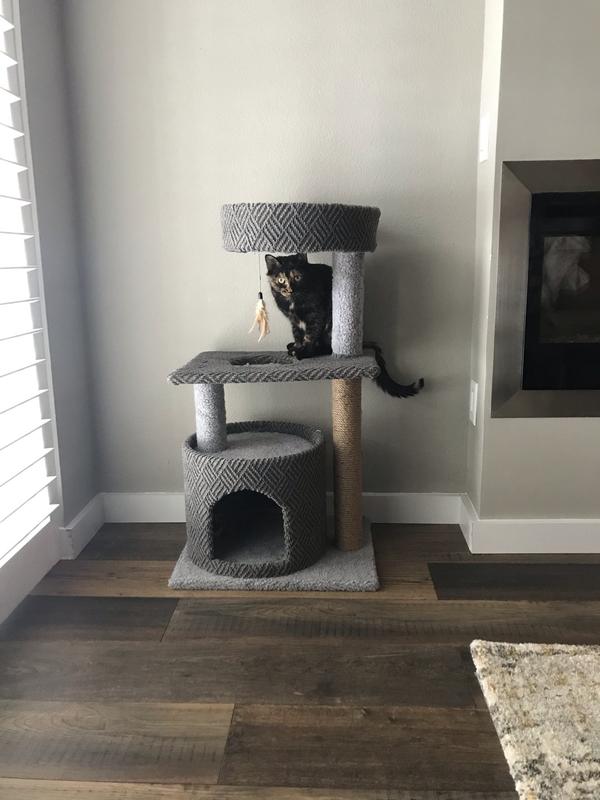 You Me So Pawsh Multi Level Cat Condo 36 5 H Petco