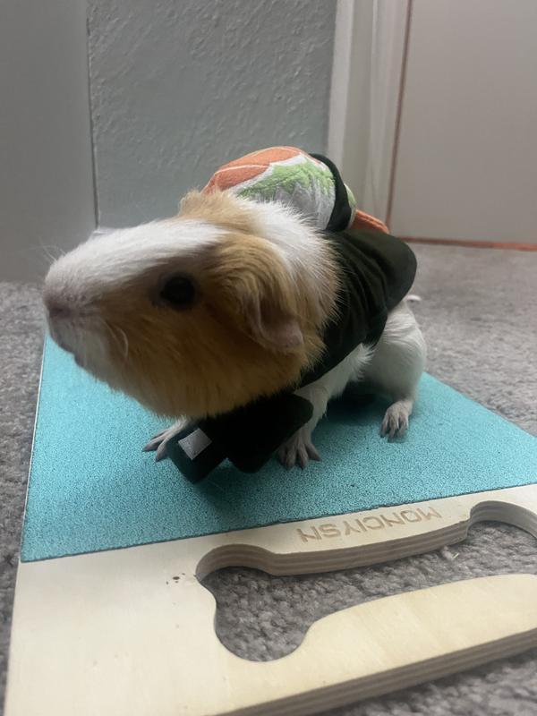 Bootique Sushi Small Animal Costume Multi Color Washable