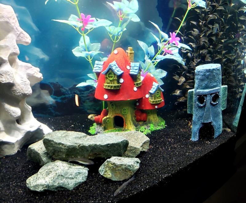 Mushroom fish tank clearance decoration