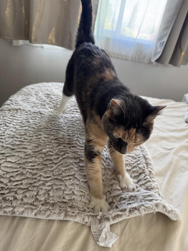 Making biscuits