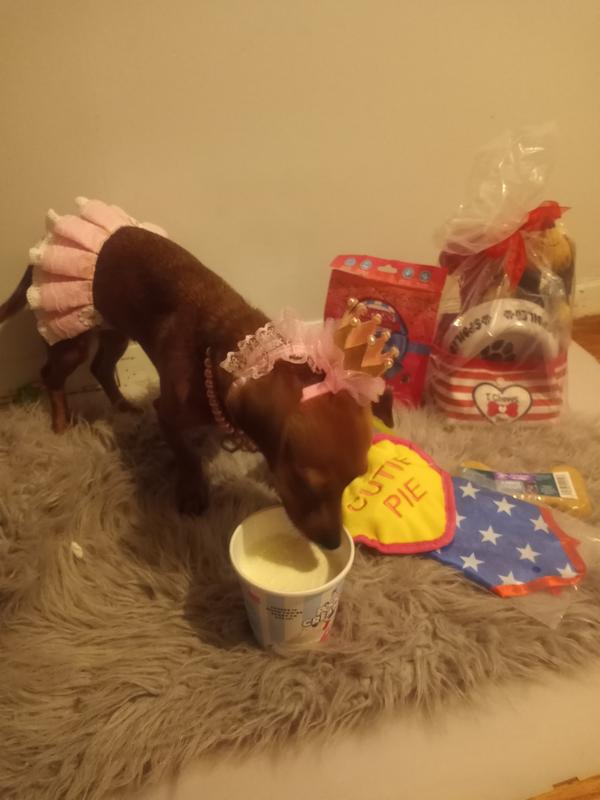 Suga 1st birthday with ice cream