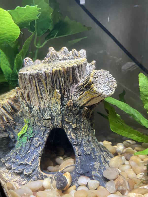 Tree stump aquarium outlet decoration