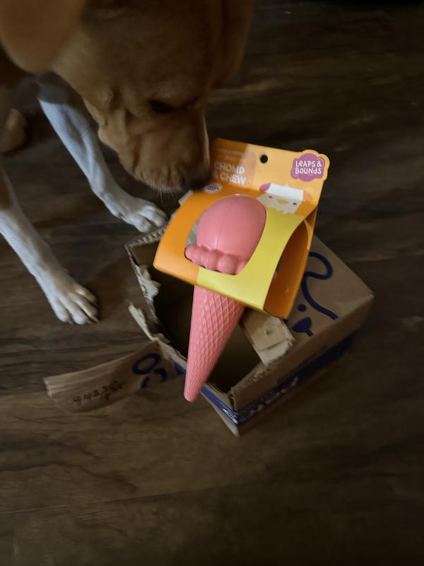 American Pet Supplies Ice Cream Cone - Dog Freeze Toy - Small