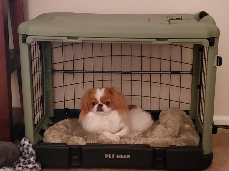Pet Gear The Other Door Steel Crate with Plush Pad Sage