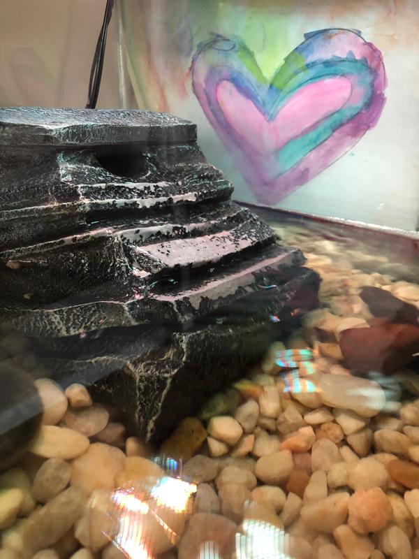 Zilla Basking Platform & Small Turtle Filter Combo from Petco