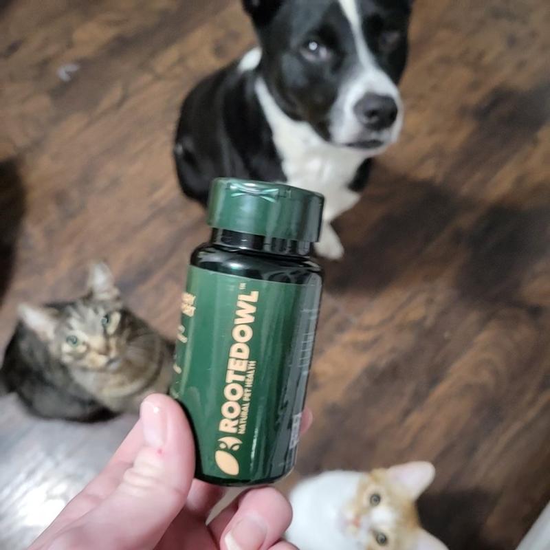 Supplement time!
