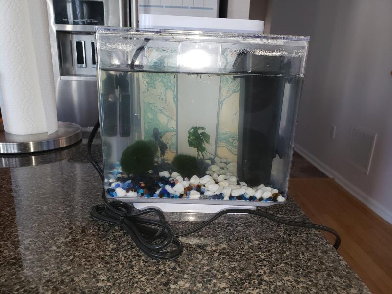 marina betta ez care heater