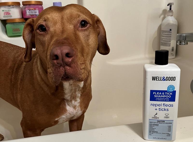 Tropiclean Natural Flea & Tick Maximum Strength Shampoo for Dogs, 20 fl.  oz.