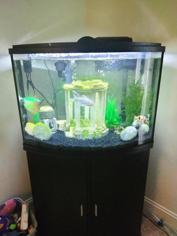 AA Aquarium Green killing Machine 9W Internal UV for Aquariums up