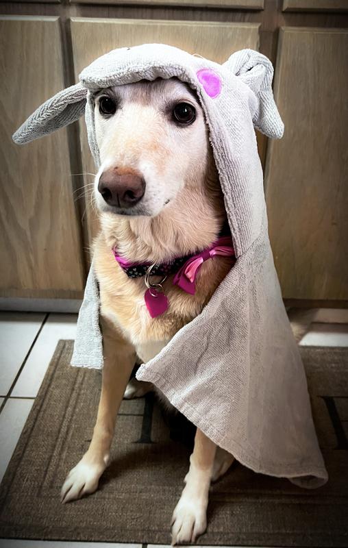 Bamboo Bath Towel for Dogs by Pets So Good Large