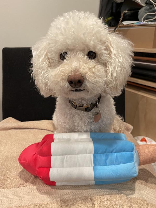 Bark Rocket Pupsicle Plush Dog Toy