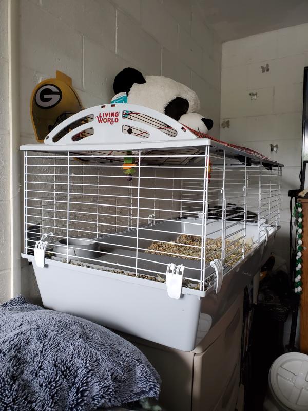 living world deluxe habitat large