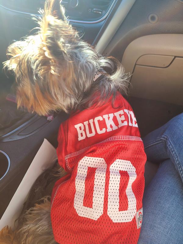 The Worthy Dog Ohio State Buckeyes Football Jersey for Dogs