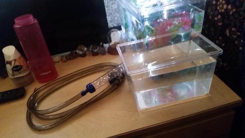 Water syphoned out