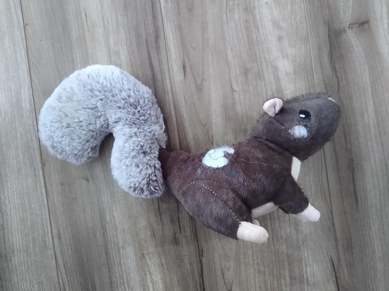 Wild Plush Squirrel Dog Toy