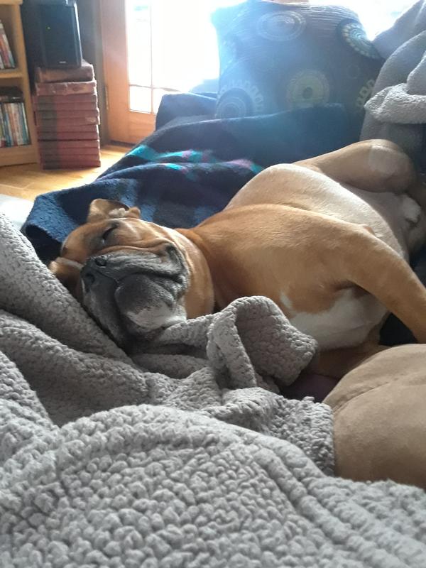 I could sleep on it all day and night...oh wait, I do!!